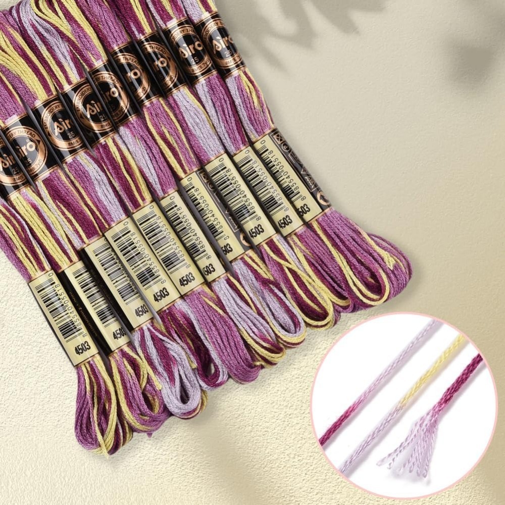 6-strängige lila bunte Stickga – Embroidery Floss Thread Bewertung und Preis